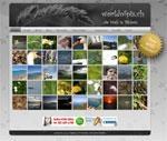 worldofpix